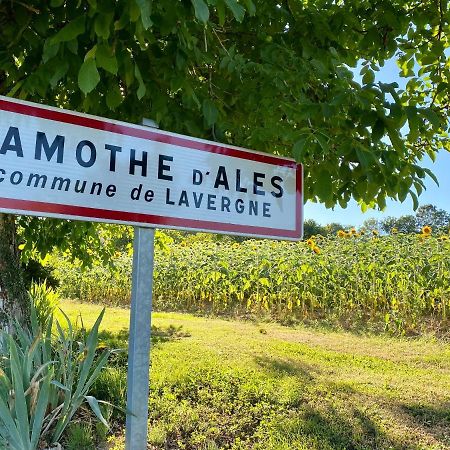 Gite Confort A Lamothe D Ales Lavergne  ภายนอก รูปภาพ